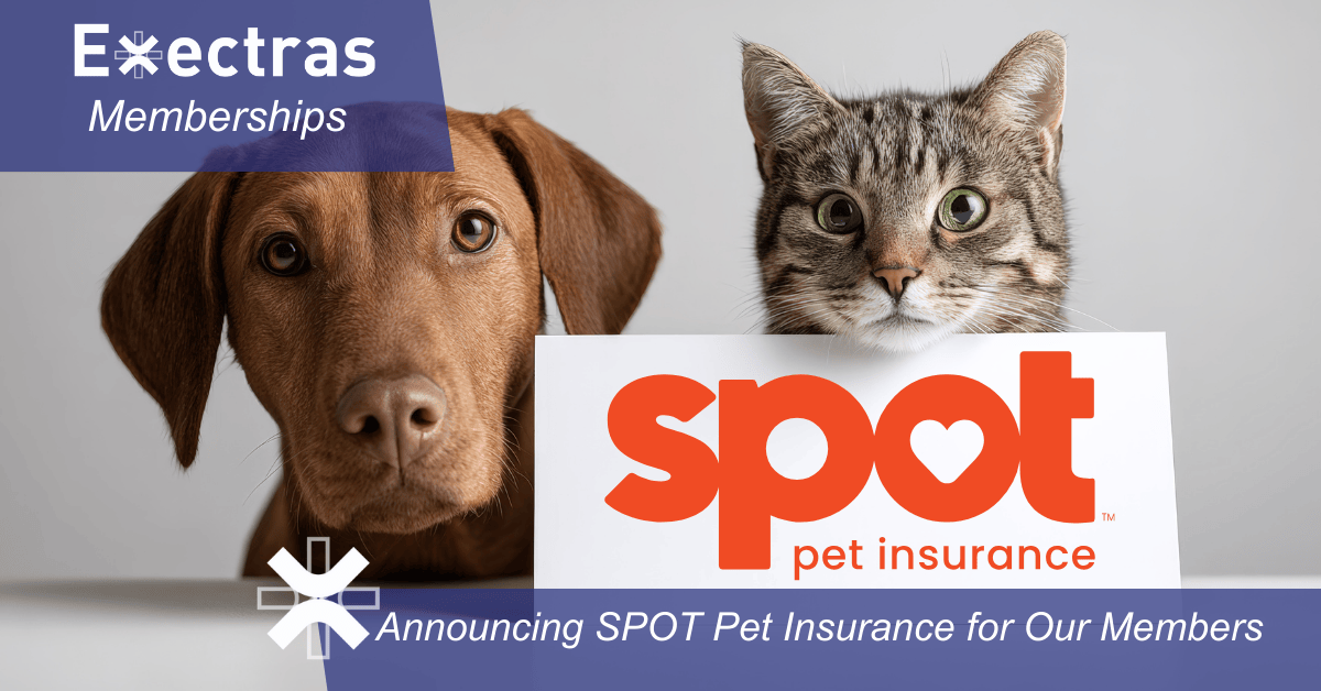 SPOT Pet Insurance (LinkedIn, X, blog) (1200 x 628 px)